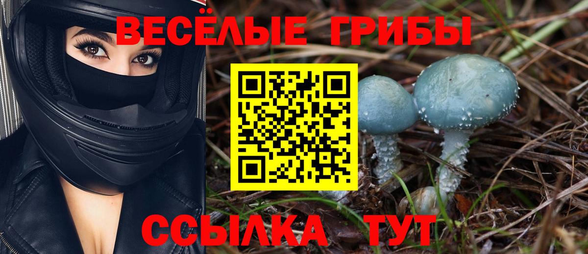 как найти закладки  Псилоцибиновые грибы ЛСД  Вход с VPN  Галлюциногенные грибы ЛСД  Уварово 